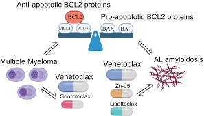 Image result for BCL2 Inhibitor