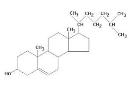Colesterol: COMPOSIÇÃO QUÍMICA E ESTRUTURA MOLECULAR DO COLESTEROL