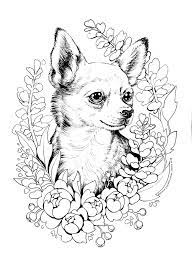 The chihuahua coloring pages also available in pdf file that you can download for free. Color Me Canine Chihuahua Art Print By Shygirlstudio X Small Chihuahua Art Chihuahua Drawing Chihuahua Tattoo