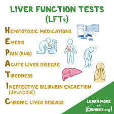 Image result for Liver Function Test