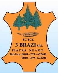 Firma tce 3 brazi srl, controlata de culita tarata, fostul presedinte al consiliului judetean neamt, decedat in noiembrie 2014, a fost unul dintre cei mai mari producatori de cereale din europa. Sc Tce 3 Brazi Srl BrÄila Profil Cylex