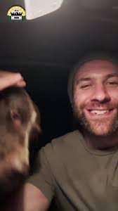 Meet Maggie, the Beautiful German Shorthaired Pointer