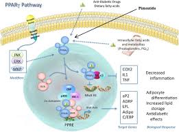 Image result for Mibefradil