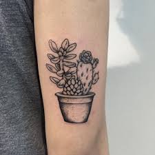 Jul 29, 2013 · i have two main aloe, (more of the less common types however), one of which is a giant aloe, growth only limited by the size of the pot. Back At It Again With The Potted Plants Thanks Clea Nice To Hang With You Again Tattoos Cute Tattoos Cactus Tattoo