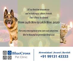 Bcbs recognizes doctors and hospitals. Bluecross Pet Clinic Veterinaire Ahmedabad 38 Photos Facebook