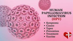 Image result for human papillomavirus symptoms