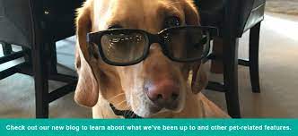 We are considered to be one of the top. Highland Pet Hospital And Wellness Center
