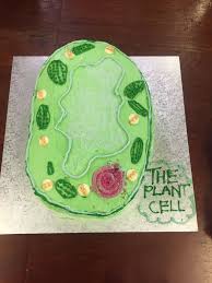 Plant cell out of cake. Drop In Science Plant Cell Cake
