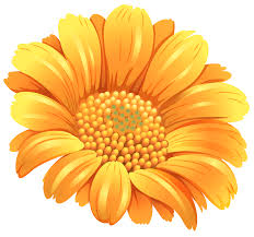 Orange Flower PNG Clipart Image? | Gallery Yopriceville - High-Quality Free  Images and Transparent PNG Clipart