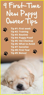 First Time Dog Owners Guide Checklist Tips New Puppy Bringing Home Puppy Puppy Time