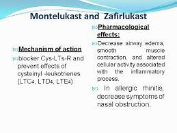 Sumy State University Antiallergic Drugs Lecture On Pharmacology