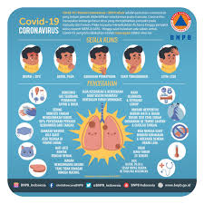 Berdasarkan gejala diatas ada kesamaan gejala tipes dengan covid yaitu terkait dengan demam dan batuk. Mengenal Gejala Covid 19 Alfalink