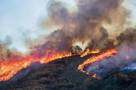 Todas las noticias sobre incendios forestales publicadas en el país. Incendios Forestales De Sexta Generacion Han Venido Para Quedarse