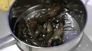Ways to make it your own and spice it up add garlic, lemon and some of your favorite vegetables (we like potatoes, corn and onion!) into the seasoned, boiling. Cooking Live Crawfish For The First Time Youtube