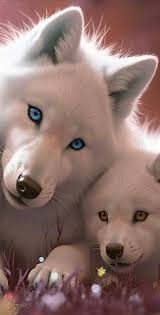 🙋🐺 Good morning blessings friends 🌹🌅❣️🇺🇲🇨🇦💗😘🙋