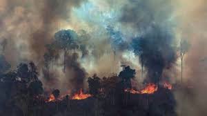 Canturreos desde la calle, una manifestación, gente en lucha. Incendios En El Amazonas El Gobierno De Bolsonaro Ahora Dice Que Acepta Toda Ayuda Internacional Para La Amazonia Siempre Que Tenga El Control Sobre El Dinero Bbc News Mundo