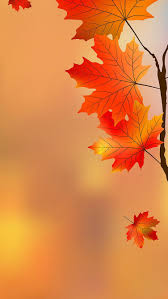 Screen Saver Screen Savers Wallpapers Backgrounds Screen Savers Wallpapers Iphone Wallpaper Fall