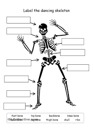 Label The Skeleton Science Worksheets 4th Grade Science Human Skeleton For Kids