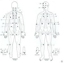 Jin Shin Jyutsu Energieschlosser Heilende Hande Mental Training Akupressur