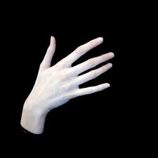 Browse 559,571 woman hand stock photos and images available, or search for woman hand holding or woman hand phone to find more great stock. D3signstudio The Woman Hand Hand Reference Pretty Hands Hand Drawing Reference