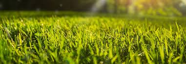 Liverpool lawn care services for always green grass fields. Commercial Lawn Management Reddi Lawn Maintenance