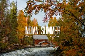 If you're looking for the frosty bite of a reindeer. Indian Summer In Finnland Aktivurlaub Im Herbstlichen Lappland