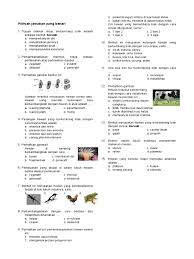 Maybe you would like to learn more about one of these? Soal Alvin