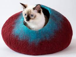 Check spelling or type a new query. 23 Best Sustainable Pet Products For Cats And Dogs