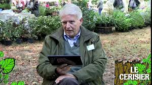 Les pucerons s'attaquent à beaucoup de plantes, rosiers et fruitiers de nos jardins et peuvent provoquer de lourds dégâts. Soigner Un Cerisier Ou Un Rosier Attaque Par Les Pucerons Video Dailymotion