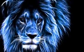Blue Lion Photo By Artisenens Photobucket Lions Photos Lion Wallpaper Lion Hd Wallpaper The lion is synonym of power and is the king of the jungle. lion wallpaper lion hd wallpaper