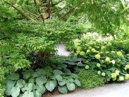 Pin On Garden Secret