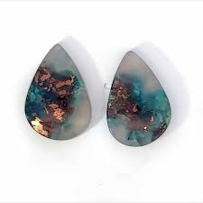 Image result for Chrysochloa