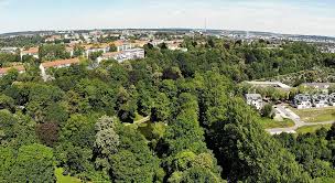 Sommer Uber Dem Rosarium Chemnitz Gestern Heute De In 2020 Chemnitz Stadtpark Sommer