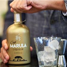 The fruit is just like common berry fruit size which is around 2 cm and turn from green to yellow when ripe. Jet Import Have You Tried The Cafe Marula Liqueur It S A Delicious Combination Of Caffeine Rich Beans And The Fruit Of The African Elephant Tree Facebook