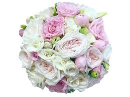 Maybe you would like to learn more about one of these? Rosita Flowers Weddings Colombian Everlasting Roses