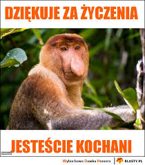 Życzenia ślubne dla rodziców od pary młodej. Dziekuje Za Zyczenia Memy Gify I Smieszne Obrazki Facebook Tapety Demotywatory Zdjecia