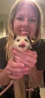Adorable Opossum Released Back into Nature