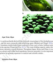 80 herramientas para construir tus ideas. Book Project Microalgae Biotechnology For Food Health And High Value Products Md Asraful Alam 18 Updates Research Project