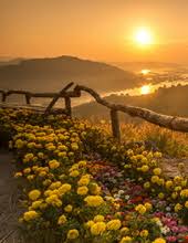 Obituary information for Daniel P Allshouse