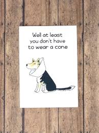 Funny Get Well Card At Least You Don T Have To Wear A Cone Funny Get Well Cards Get Well Cards Get Well Card Messages