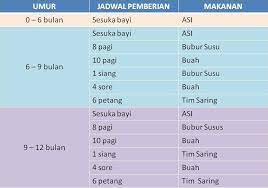 Jadwal makan bayi umur 6 bln. Cara Tepat Menentukan Jadwal Pemberian Mpasi Pada Bayi Solusi Kesehatan Kehamilan Persalinan Dan Anak
