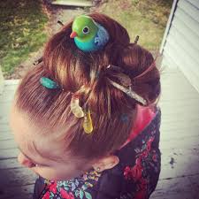 Bird With Crazy Hair On Head Crazy Hair Day Birds Nest Crazy Hair Days Crazy Hair Hair Day