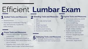 Image result for Low Back Exam