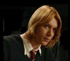 Harry Potter Imagines (Vol. 1)