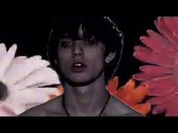 Carrington hung out with Jake and Johnnie once and now bro thinks he's lil  peep : r/LAinfluencersnark