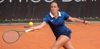 Trend Google: svitolina