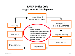 The ultimate aim of the program is to improve the organizational health of participating employers and certified trainers, with an emphasis on strategies to reduce chronic disease and inju. Workplace Health Promotion Program Stage Cycle Development Model Download Scientific Diagram