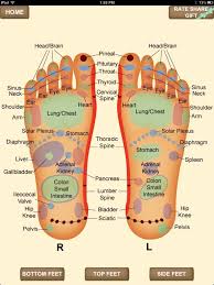 Continue massaging as you apply more oil, as well as move the rub to the entire foot. Annies Village Ropes On Twitter Foot Reflexology Massage Foot Reflexology Reflexology
