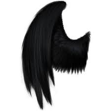 Black And White Angel Wings Png Black Angel Wings Spn Angel Wings Png Black Angel Wings Wings Png