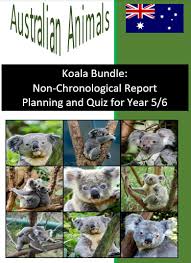 Start quiz what does the word koala roughly translate to? Koala Bundle Non Chronological Report Planning And Quiz For Year 5 6 Tour2teach